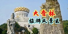 人体艺术强暴警花中国浙江-绍兴大香林旅游风景区
